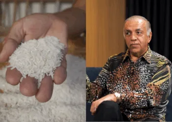 Sources: YouTube/Free Malaysia Today/Rawpixel