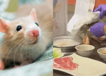 Sources: Flickr/China Press