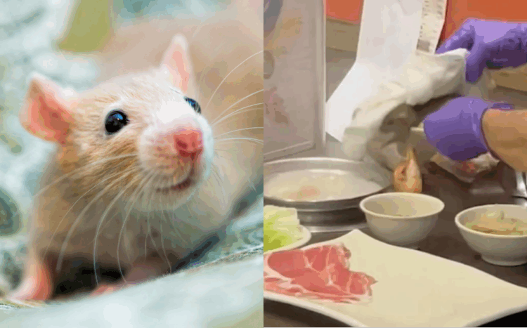 Sources: Flickr/China Press