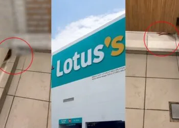 SOURCE: LOTUS'S MALAYSIA, TIKTOK