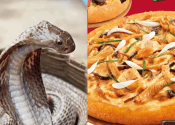 SOURCES: CANVA & FACEBOOK