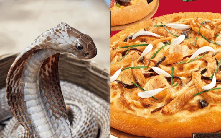 SOURCES: CANVA & FACEBOOK