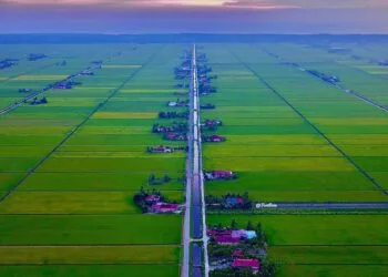 Image Credit: Facebook/Faez Reza