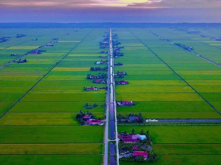 Image Credit: Facebook/Faez Reza