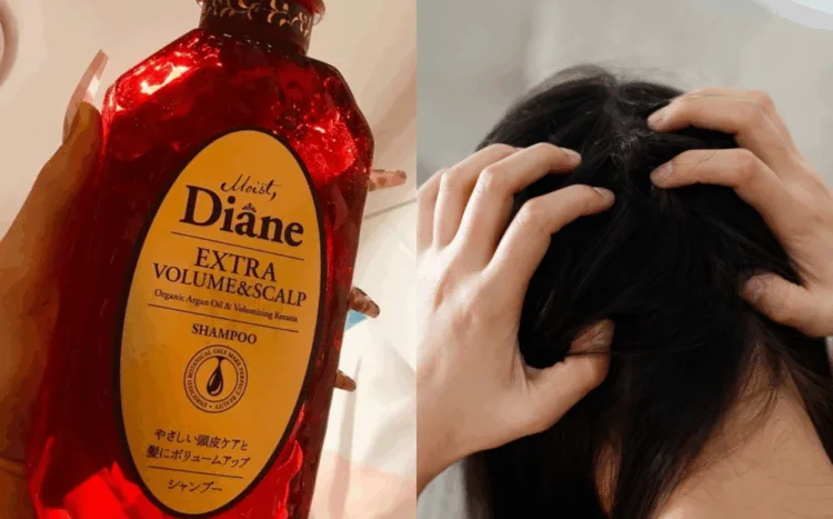 SOURCES: TWITTER & CANVA (FOR ILLUSTRATION PURPOSES ONLY)