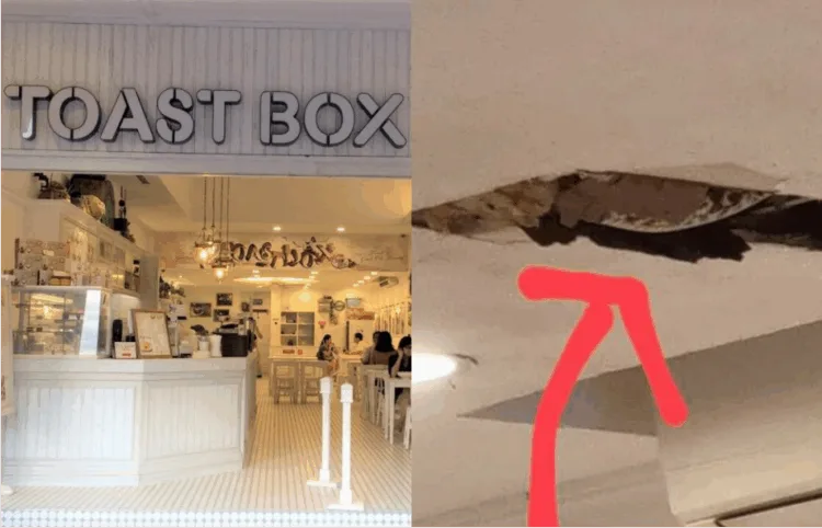 SOURCE: FACEBOOK, TOASTBOX