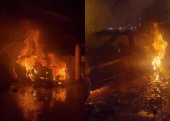 SOURCES: SIN CHEW DAILY