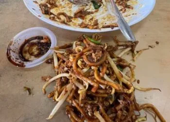 Source: Facebook/Persatuan Tak Makan Tauge Satu Malaysia (PTT1M)