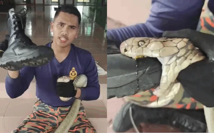 Source: Facebook/FARID SQUAD KING COBRA