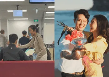 Sources: 小红书/@苹果/Instagram/@louisa_mak