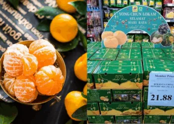 Sources: Sin Chew Daily/Freerange Stock