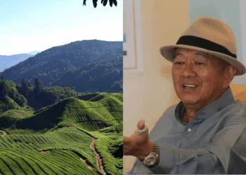 Source: Instagram/@haorened