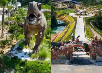 Source: INSTAGRAM/ @monkeyscanopy