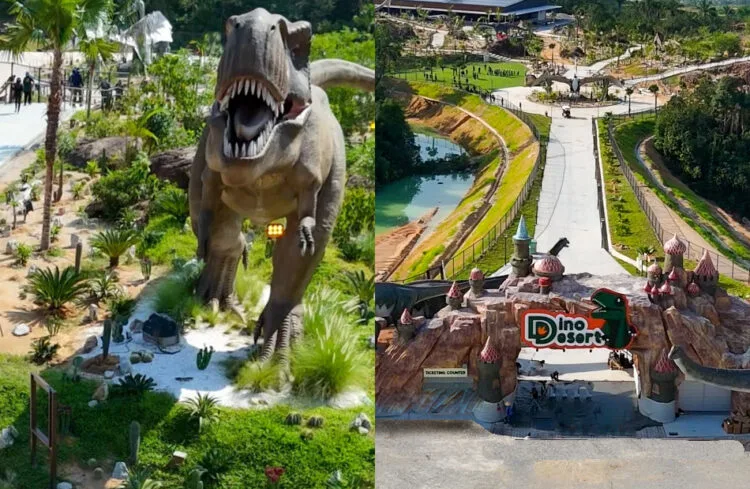 Source: INSTAGRAM/ @monkeyscanopy