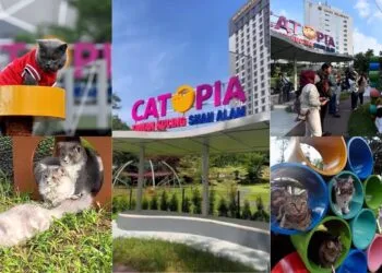 Source:Twitter@Bernama/Tiktok@placemalaysia/Twitter@sacitycouncil