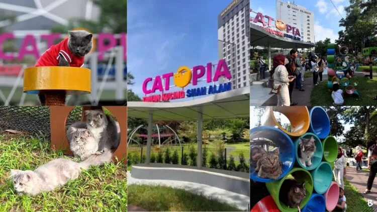 Source:Twitter@Bernama/Tiktok@placemalaysia/Twitter@sacitycouncil