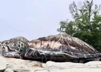 Source:Facebook@projectZeroSix