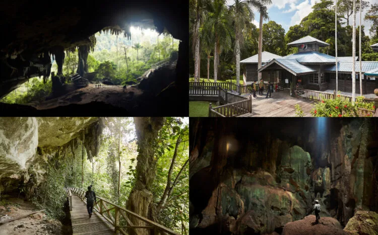 Source: National Geographic: Richard James Taylor