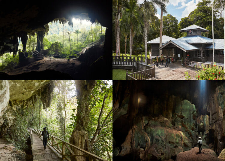 Source: National Geographic: Richard James Taylor