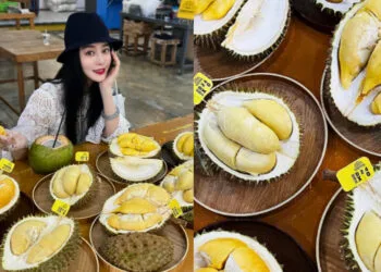 Source: Instagram /@bingbing_fan