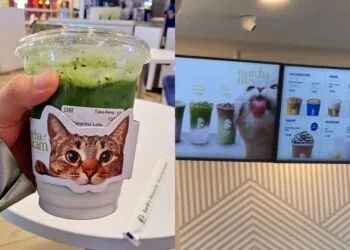 Source: Twitter/sevenbtsbby/nocontextscats