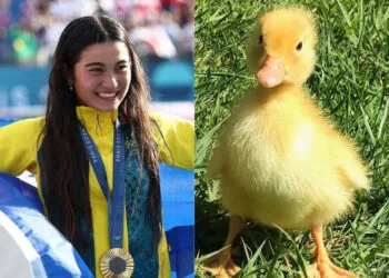 Sources: INSTAGRAM (@surfing_queensland) / PINTEREST