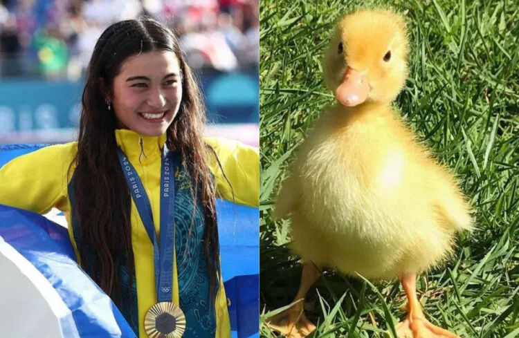 Sources: INSTAGRAM (@surfing_queensland) / PINTEREST