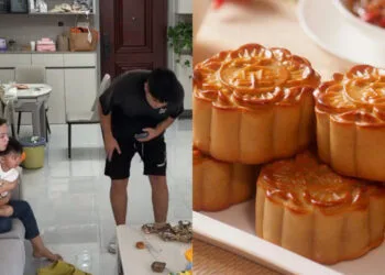 Sources: Youtube (@Small Family), Needpix