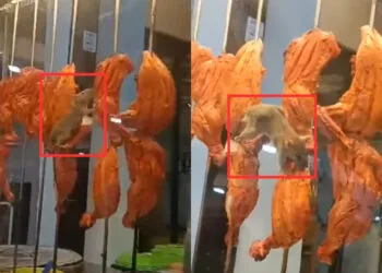 Source: Facebook (Malaysia Education Info (And Homeschooling too))