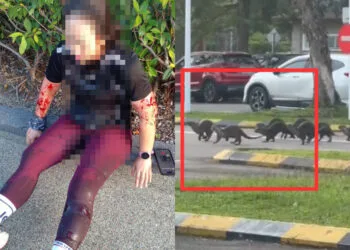 Source: FACEBOOK (Sabah Info)