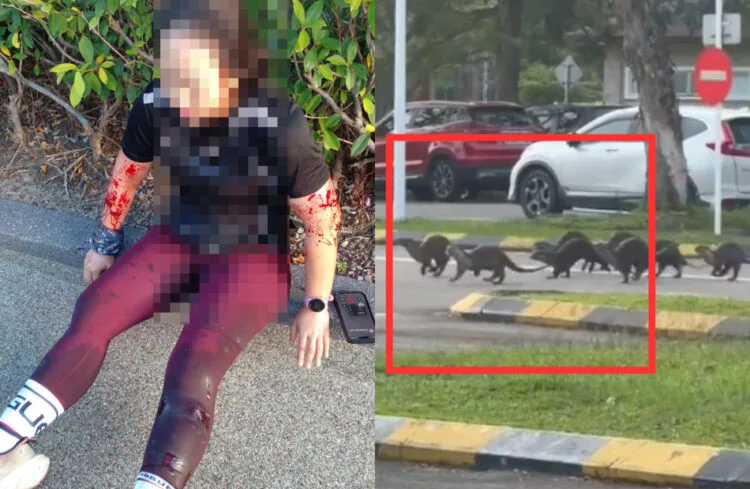 Source: FACEBOOK (Sabah Info)