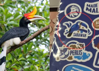 SOURCES: EBIRD & TWITTER (@IcedNyior)