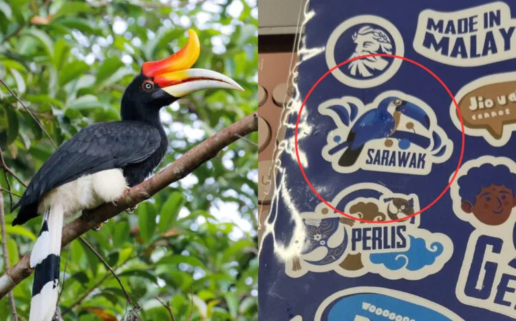 SOURCES: EBIRD & TWITTER (@IcedNyior)