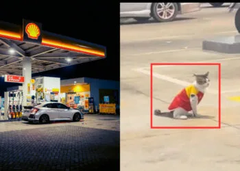 Sources: TikTok (@𝙯𝙞𝙖𝙖 ᥫ᭡), Pexels