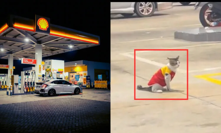 Sources: TikTok (@𝙯𝙞𝙖𝙖 ᥫ᭡), Pexels