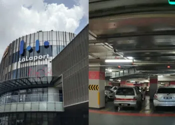 Sources: Pinterest(@SallyBee34)/YouTube(@JavierismTuboka)