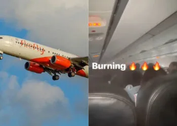 Sources: Firefly / FACEBOOK (Harrell Erik Wong)