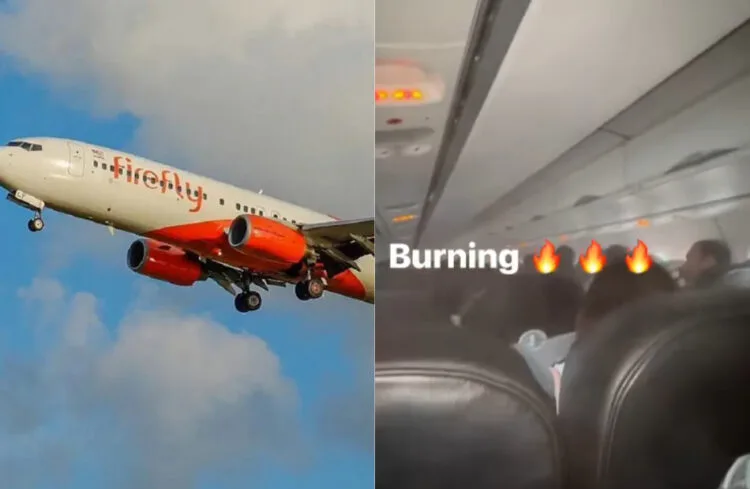 Sources: Firefly / FACEBOOK (Harrell Erik Wong)