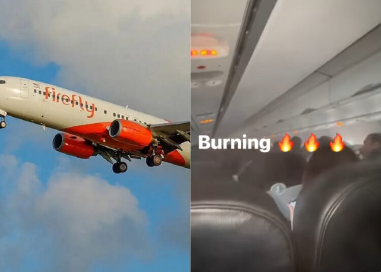 Sources: Firefly / FACEBOOK (Harrell Erik Wong)