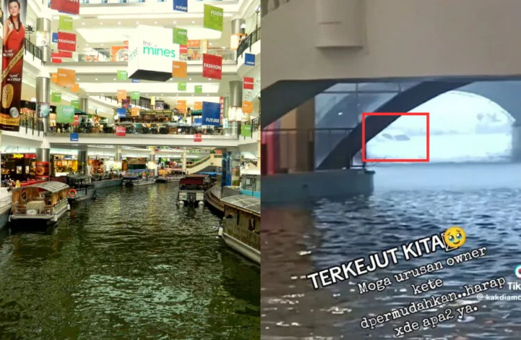 Sources: Travel Moments / TikTok (@kakdiamond78)