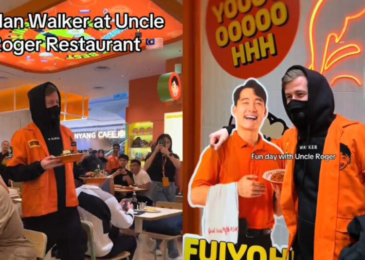 Sources: TikTok (@Alan Walker), (@marcus_chia)