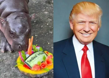 Sources: Twitter (@PopBase & @PopCrave)