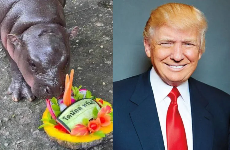 Sources: Twitter (@PopBase & @PopCrave)