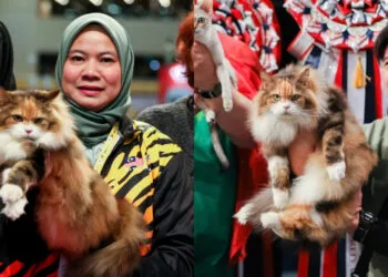 SOURCE: TESSA.LV & FACEBOOK (Rooaida Mohd Darus)