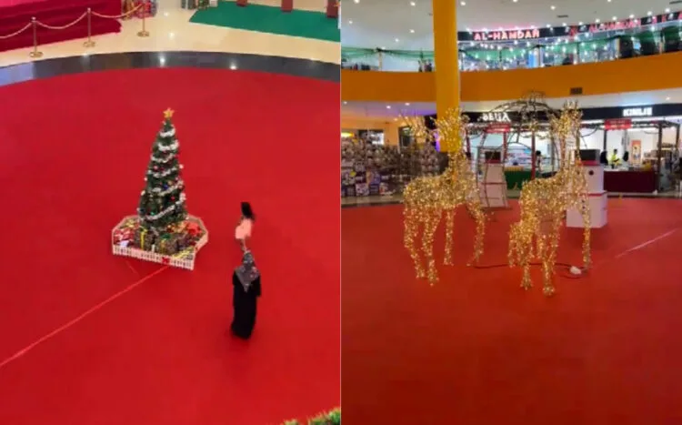 SOURCES: TIKTOK (@maemon95)