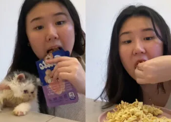 Source: TikTok (@Mbul)