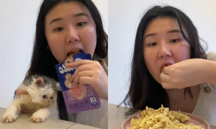 Source: TikTok (@Mbul)