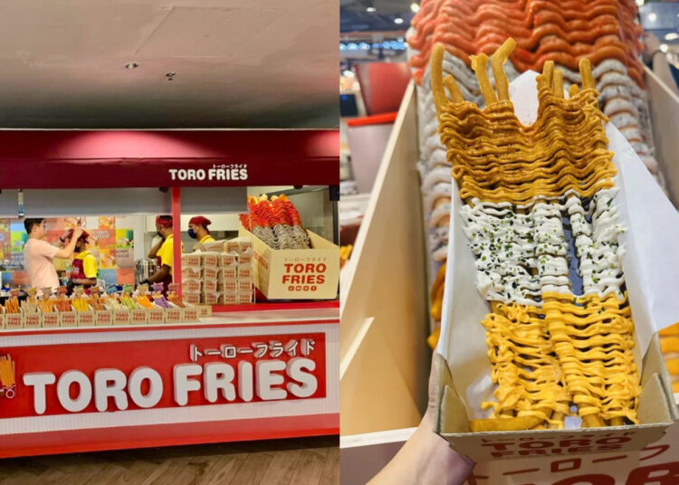 Source: Instagram (@torofries), Trip.com (@anna29diary)