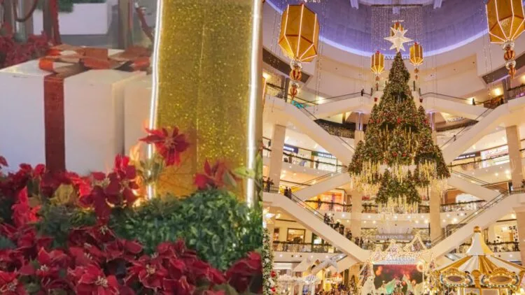 Sources: Xiao Hong Shu (@/我不是数学家), Pavilion Kuala Lumpur