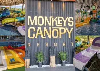 Sources: Twitter (@v_leemar), Monkeys Canopy